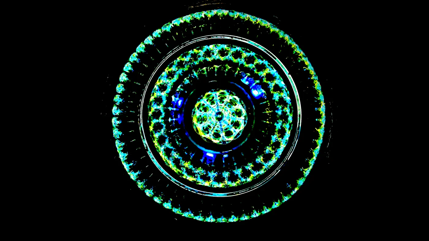 Cymatics standing wave pattern at 27.09Hz — concentric rings around a fine lattice core